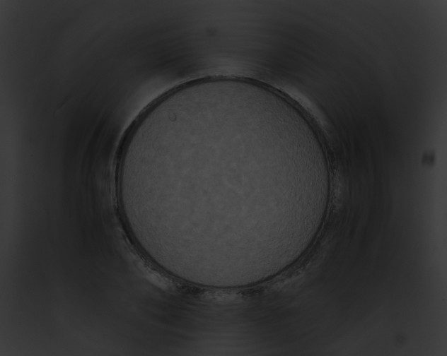 X0000091880886200710031119