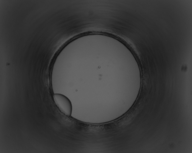 X0000091880887200710031119