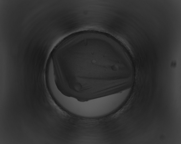 X0000091880888200710031119