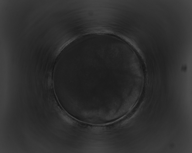 X0000091880889200710031119