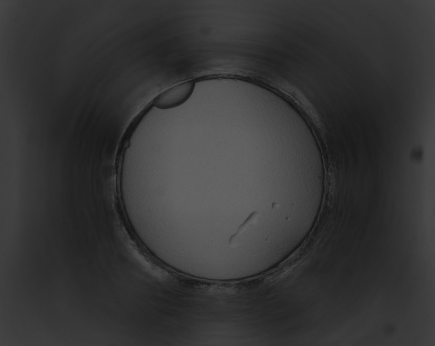 X0000091880890200710031119