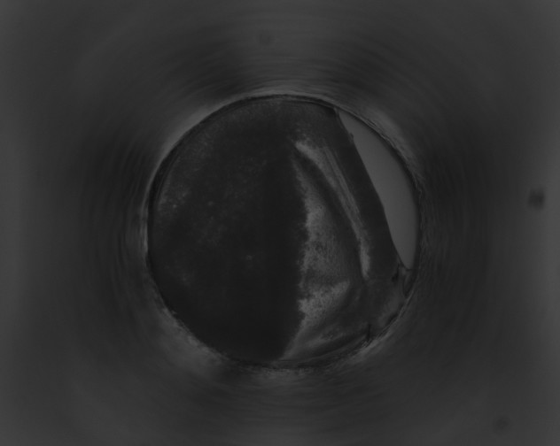 X0000091880892200710031119