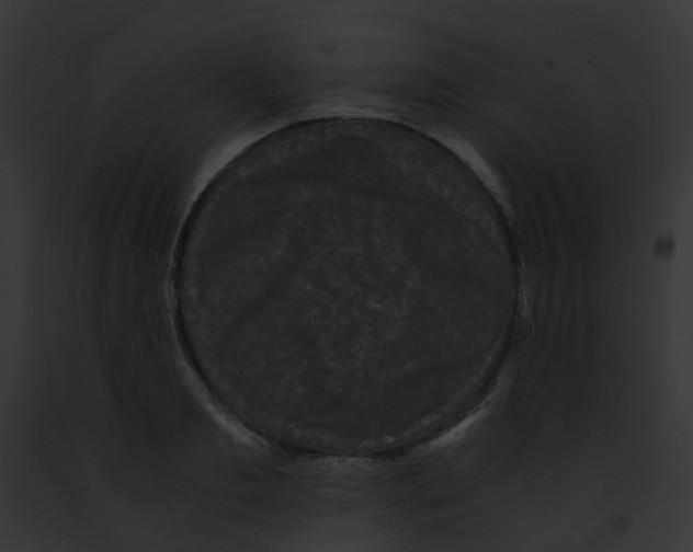 X0000091880893200710031119