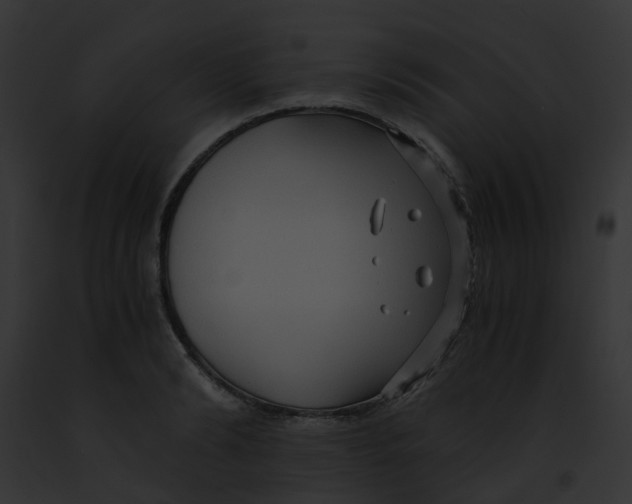 X0000091880894200710031119