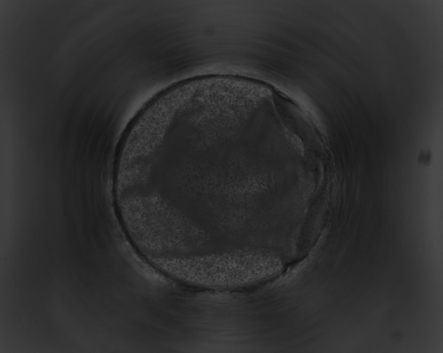 X0000091880896200710031119