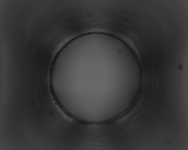 X0000091880898200710031119