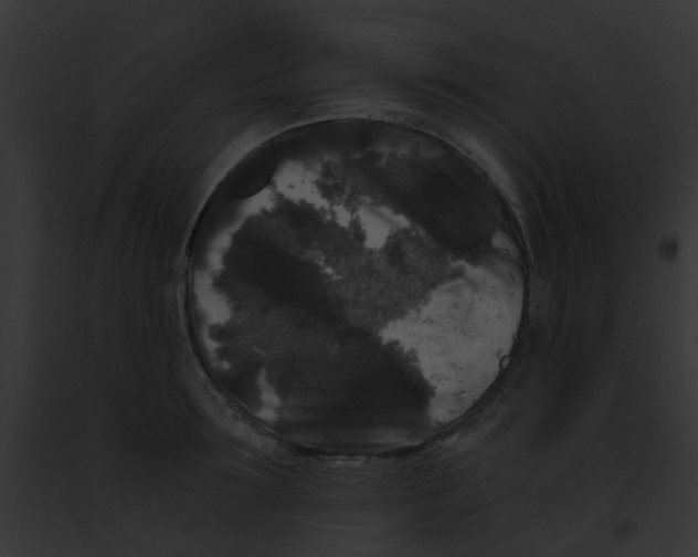 X0000091880899200710031119