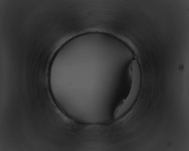 X0000091880902200710031119