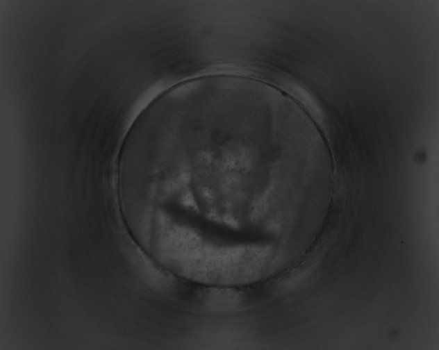 X0000091880907200710031118