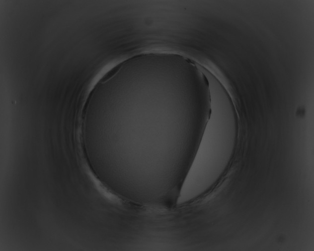 X0000091880909200710031118