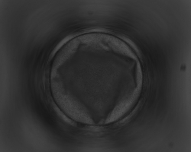 X0000091880910200710031118