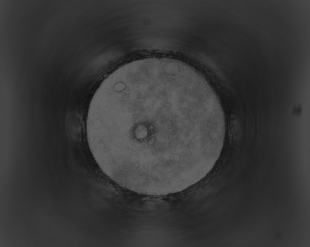 X0000091880918200710031118