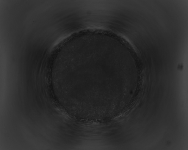 X0000091880919200710031118