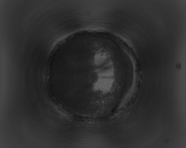 X0000091880920200710031118