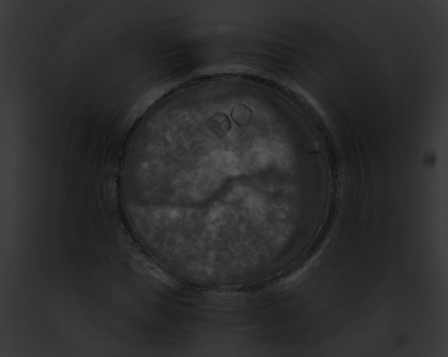 X0000091880921200710031118