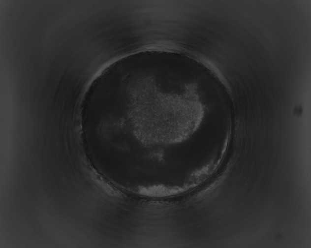 X0000091880923200710031118