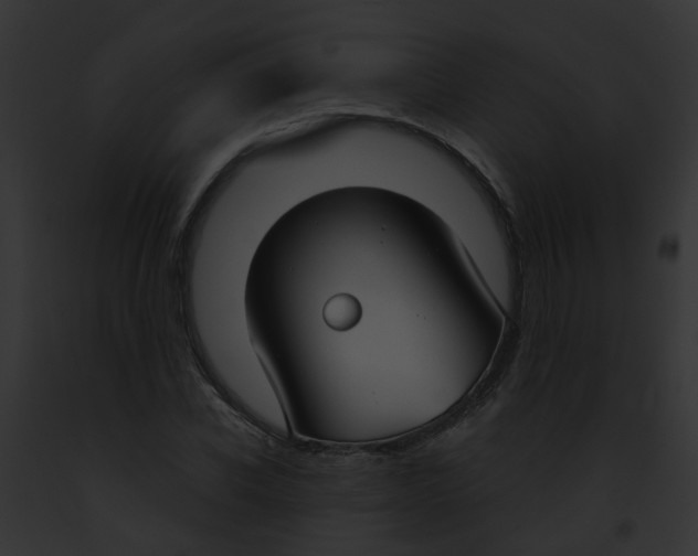 X0000091880926200710031118