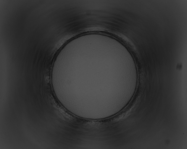 X0000091880929200710031118