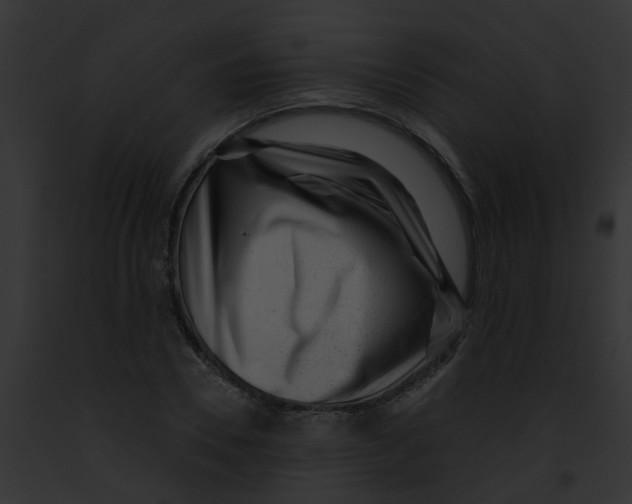 X0000091880930200710031118