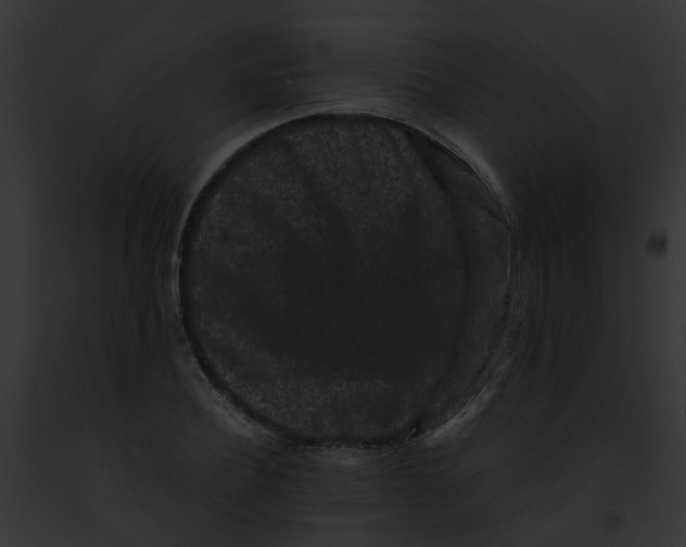 X0000091880932200710031118