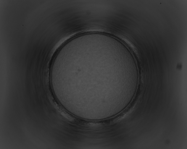 X0000091880933200710031118