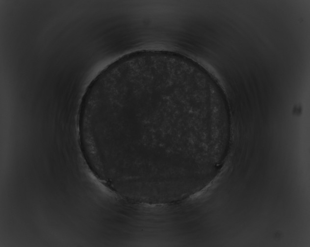 X0000091880935200710031118