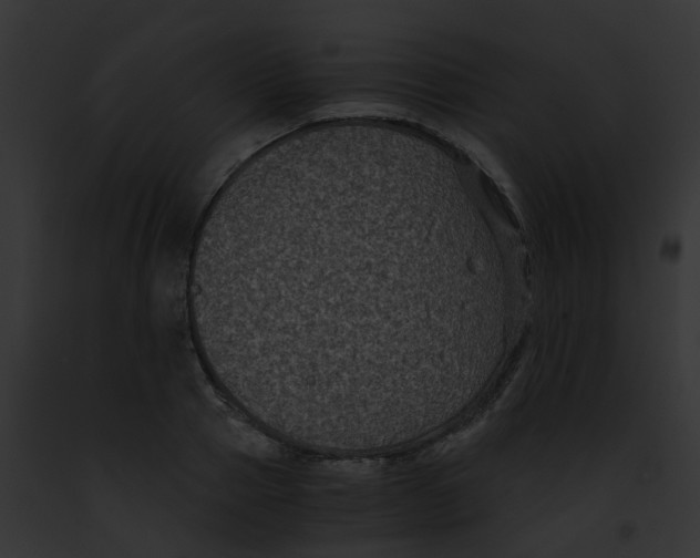 X0000091880937200710031118