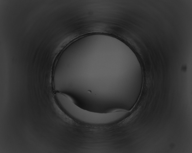 X0000091880938200710031118