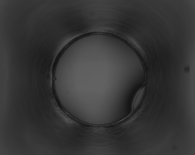 X0000091880940200710031118