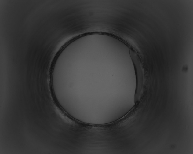 X0000091880942200710031118