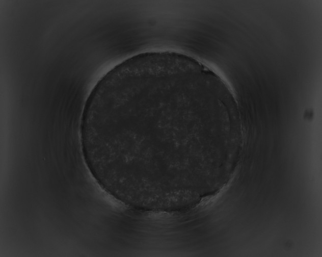 X0000091880943200710031118