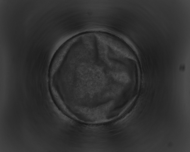 X0000091880951200710031118