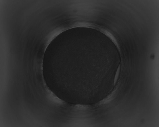 X0000091880954200710031118