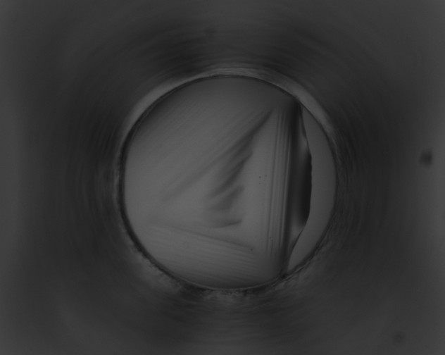 X0000091880955200710031118