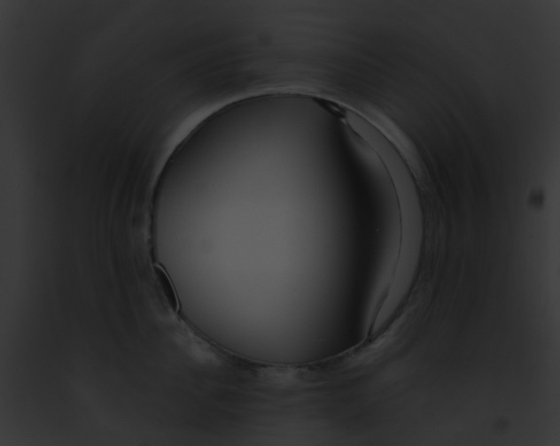 X0000091880956200710031118