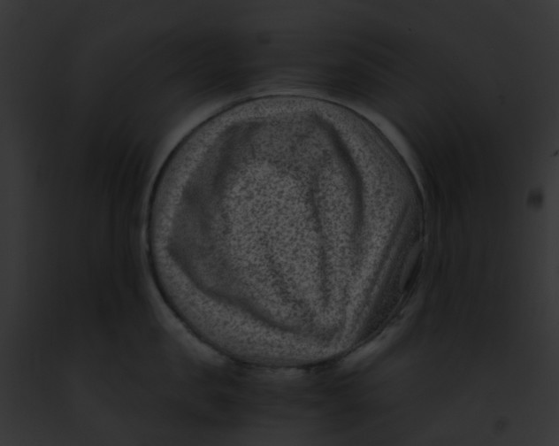 X0000091880957200710031118