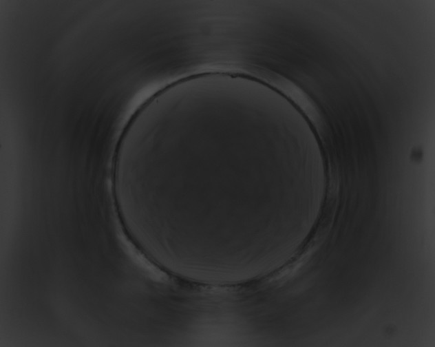 X0000091880958200710031118