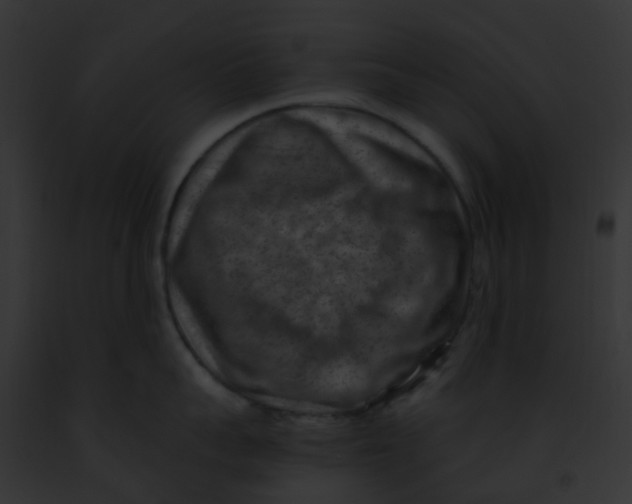 X0000091880959200710031118