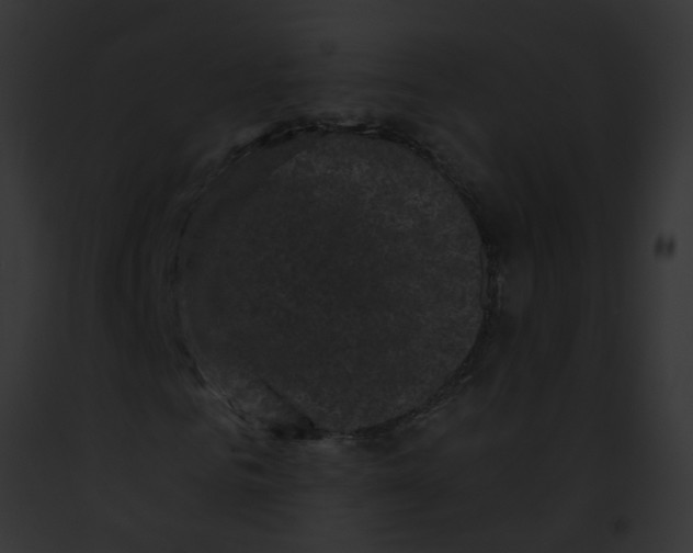 X0000091880961200710031118