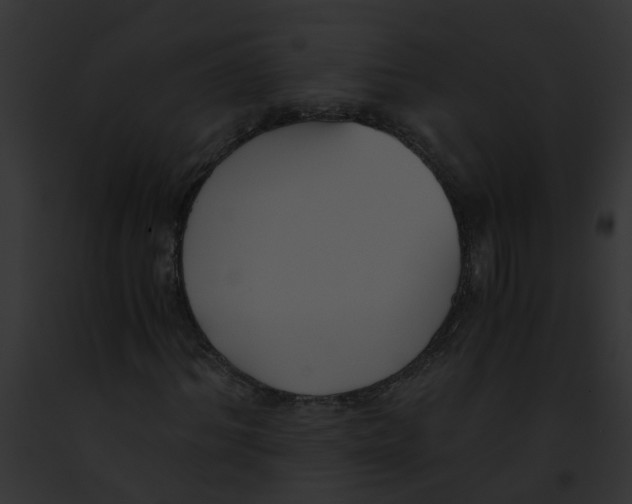 X0000091880964200710031118