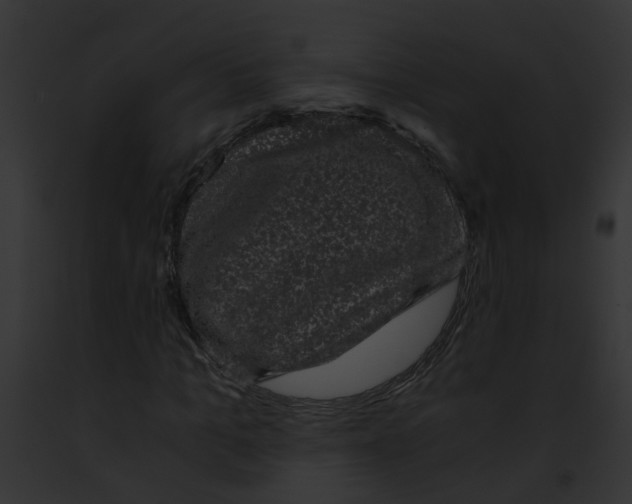 X0000091880965200710031118