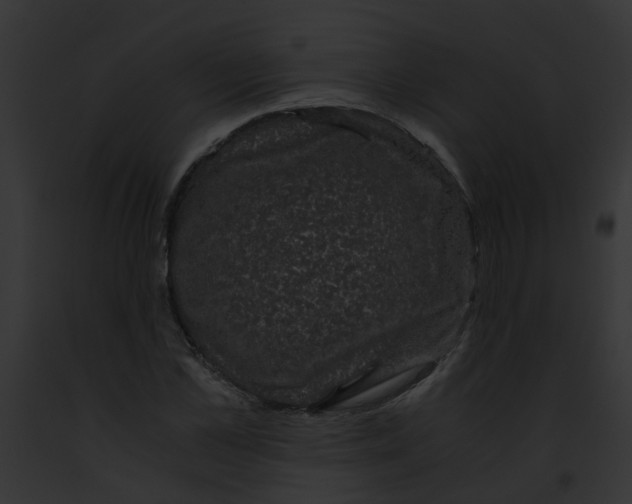 X0000091880973200710031118