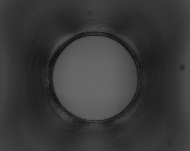 X0000091880974200710031118