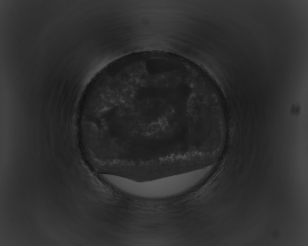 X0000091880975200710031118