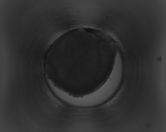 X0000091880977200710031118