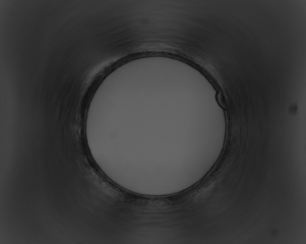 X0000091880979200710031118