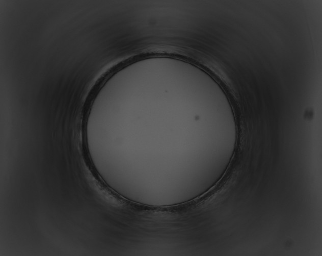 X0000091880984200710031117