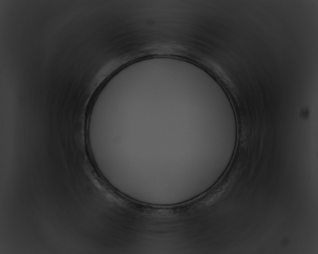 X0000091880986200710031117