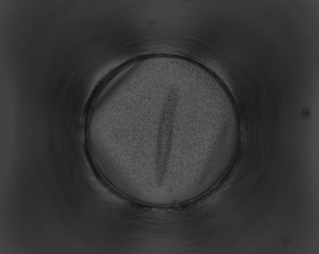 X0000091880987200710031117