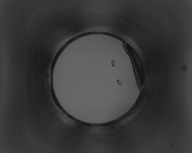 X0000091880988200710031117